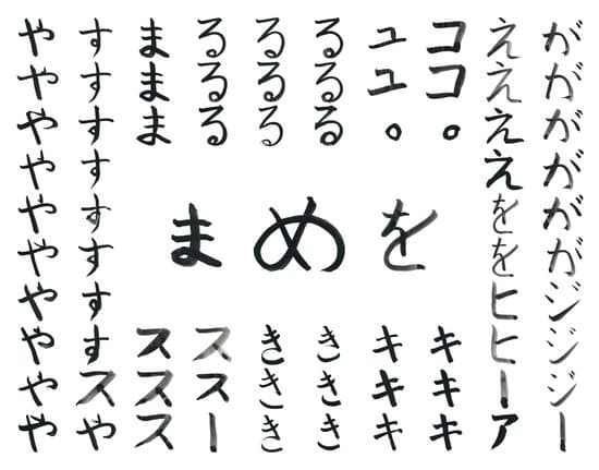 婦洗器是洗什么的